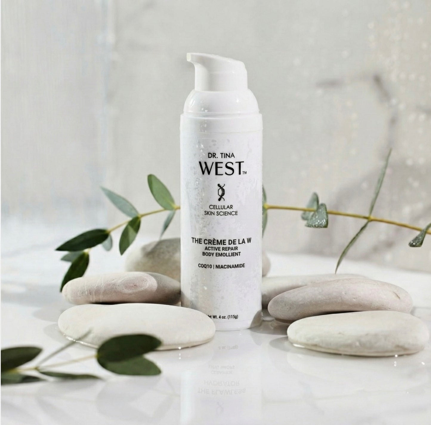 THE BODY ACTIVES COLLECTION