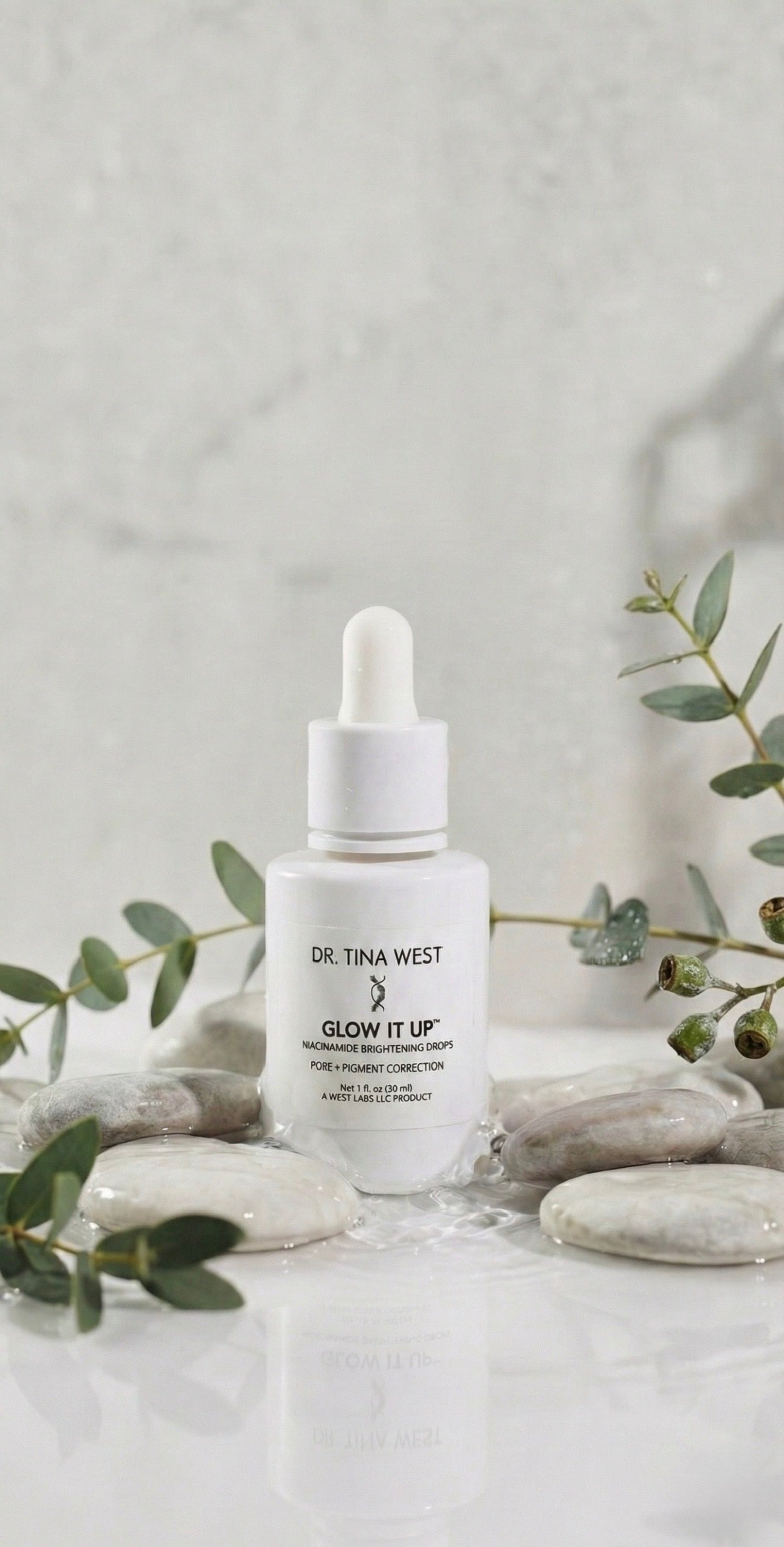 THE STARTER COLLECTION