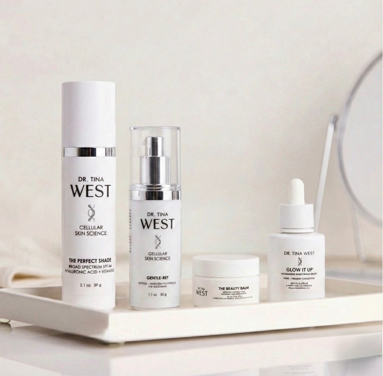 THE STARTER COLLECTION