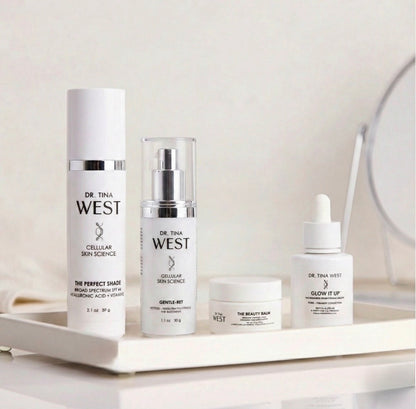 THE STARTER COLLECTION