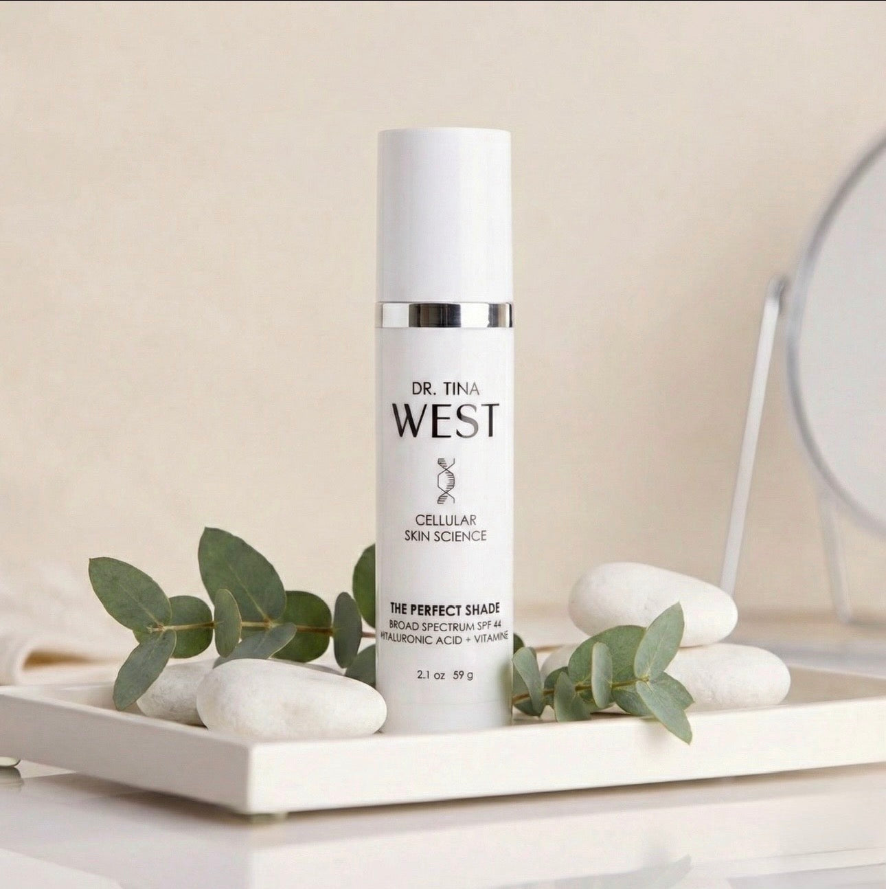 THE STARTER COLLECTION