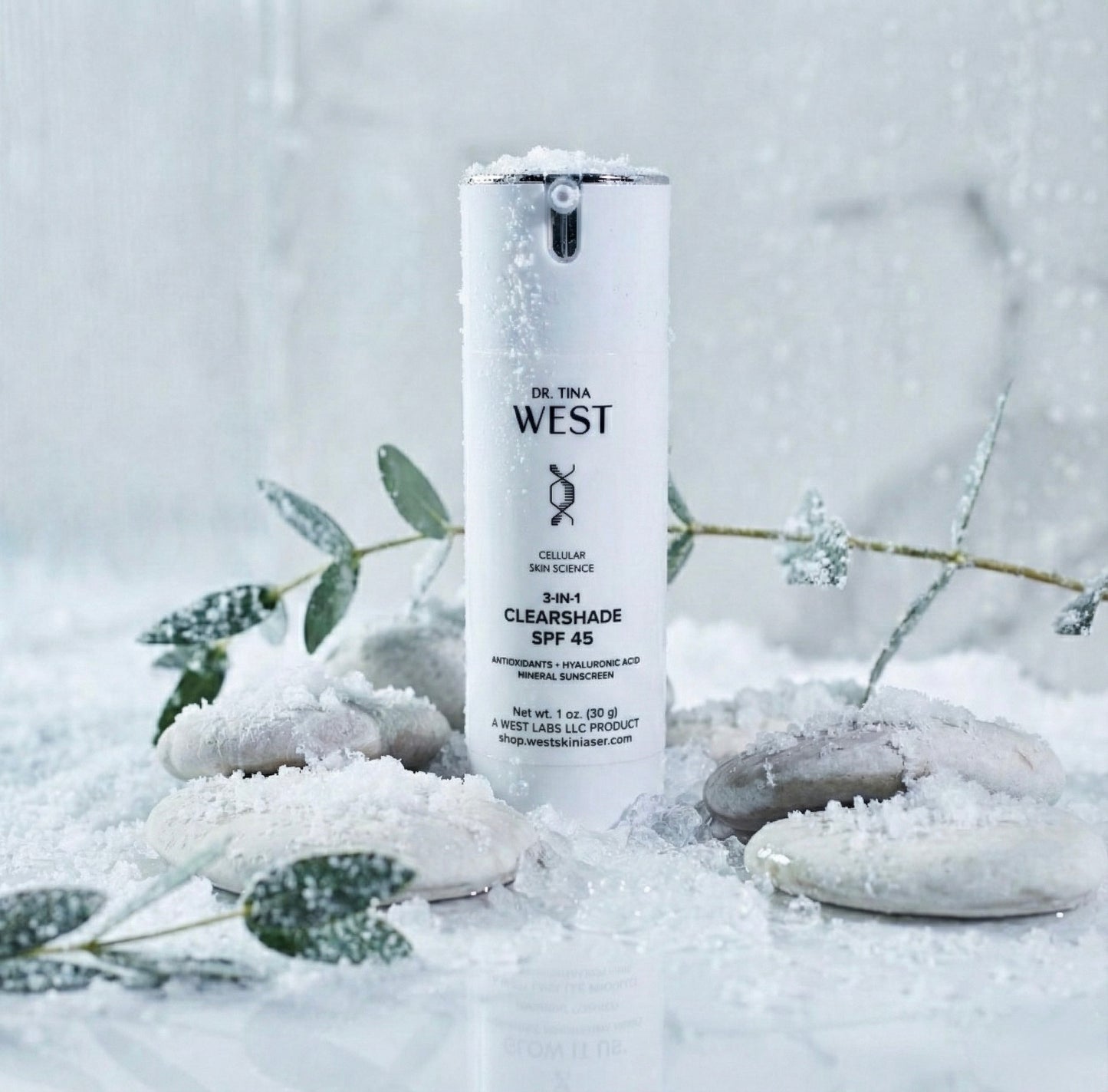 THE WINTER COLLECTION